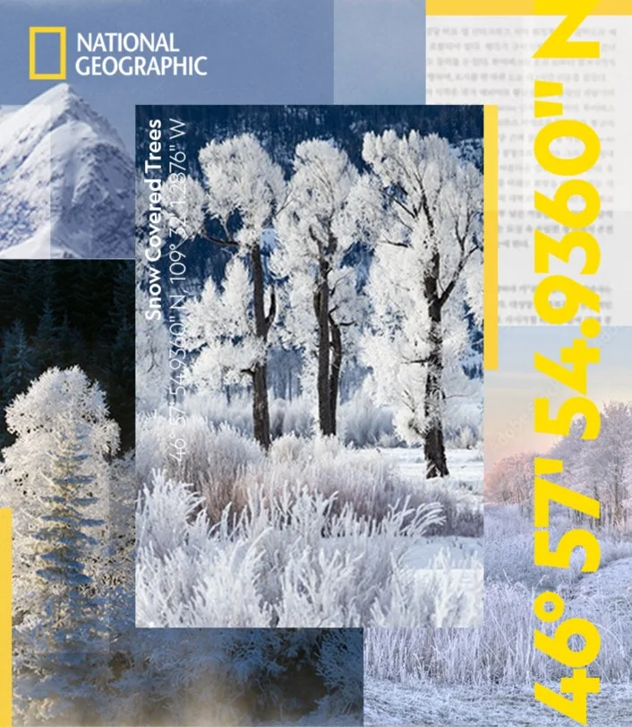 National Geographic Retail Toolkit — The Walt Disney Company