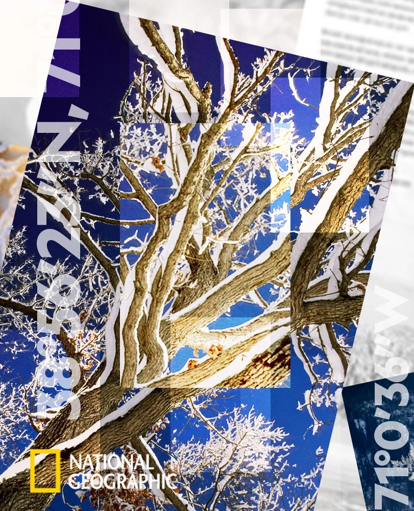 National Geographic Retail Toolkit — The Walt Disney Company