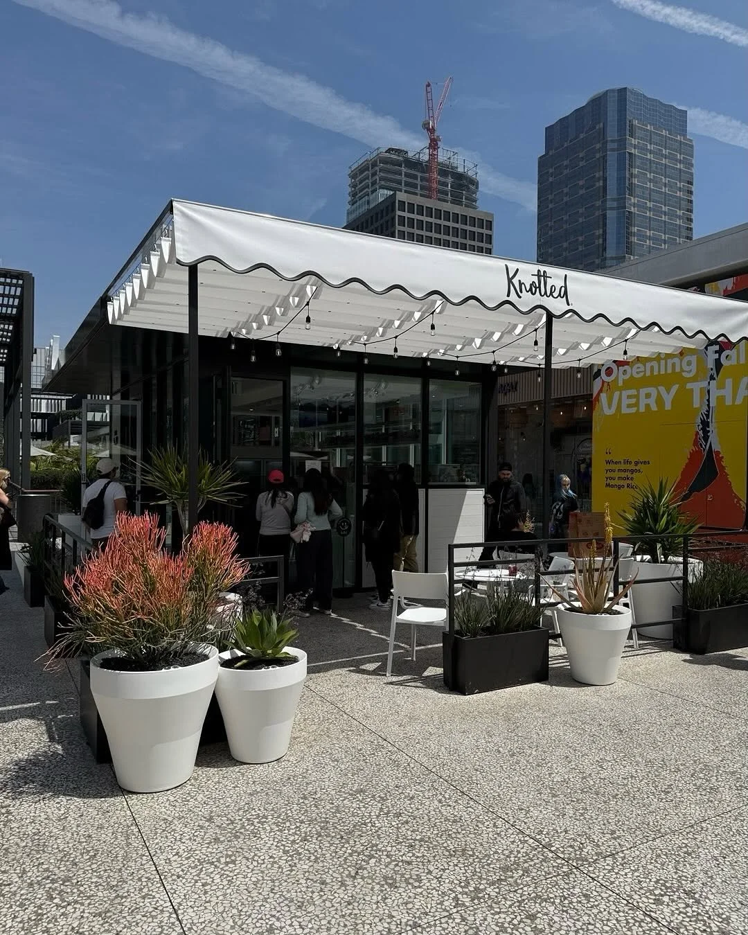 Knotted Westfield Century City — GFFG