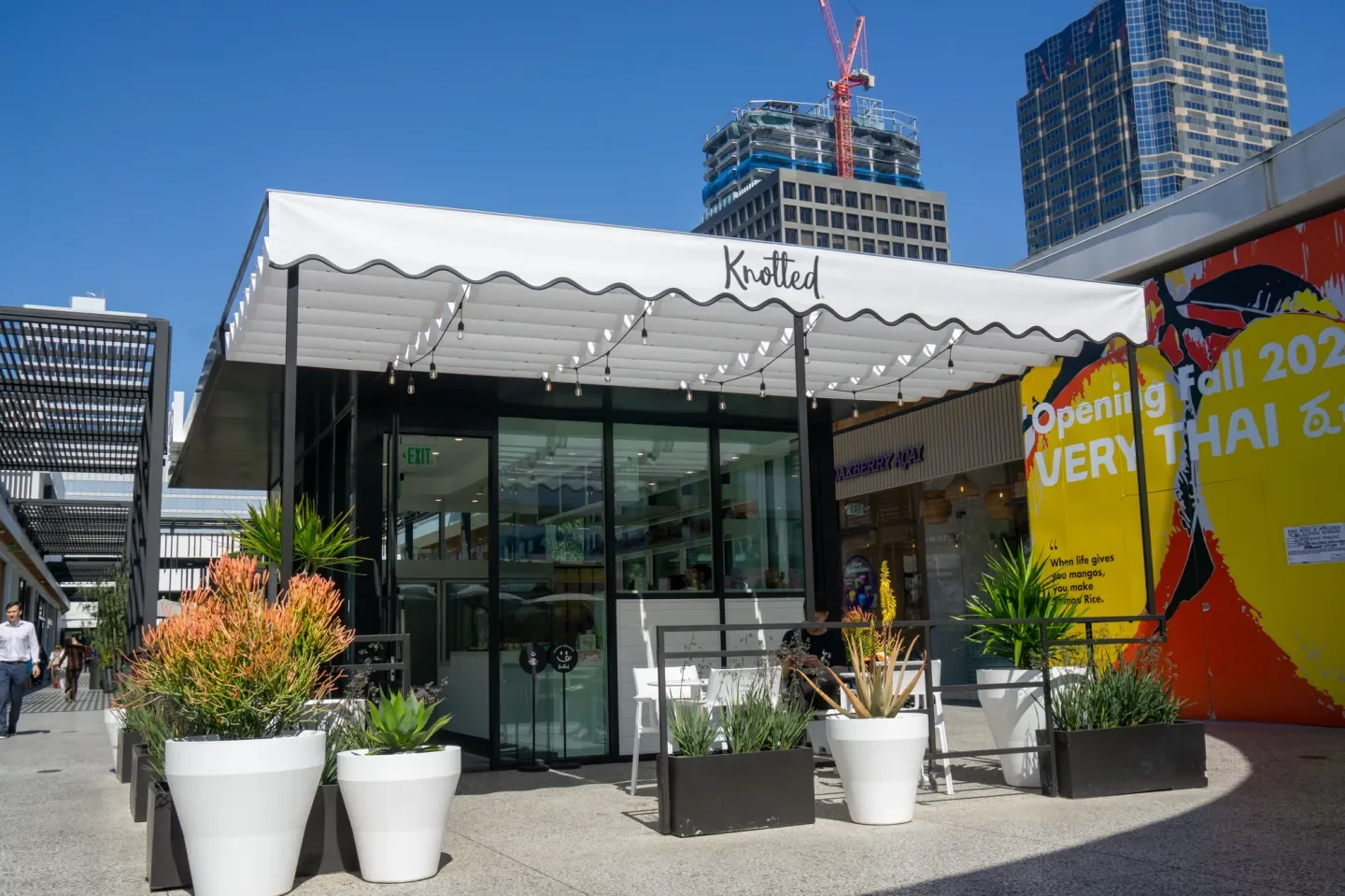 Knotted Westfield Century City — GFFG
