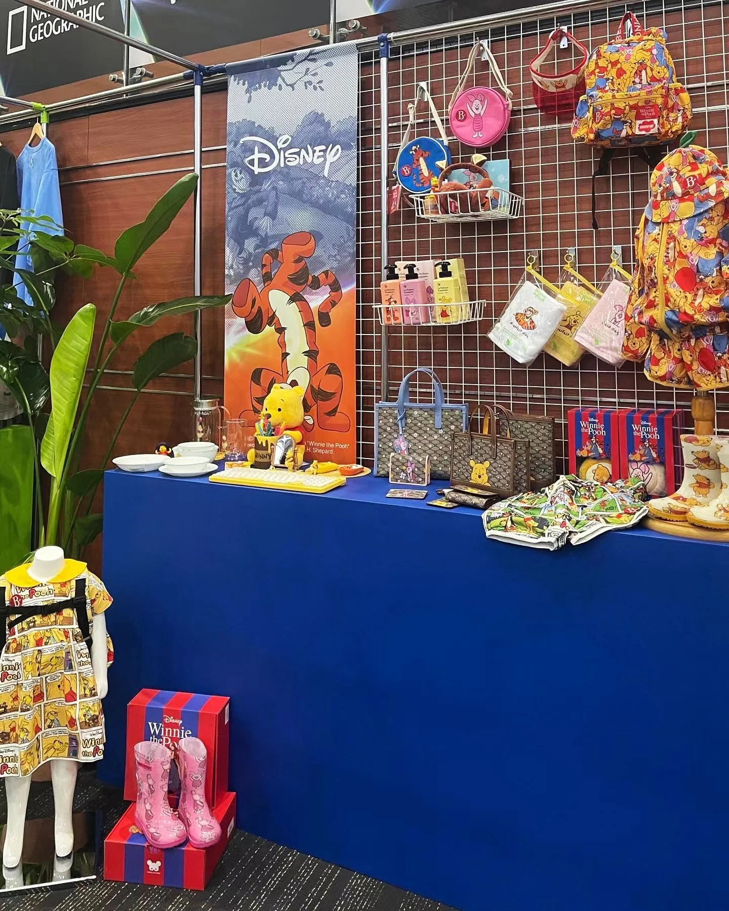 Disney CPGP Korea Kickoff — The Walt Disney Company