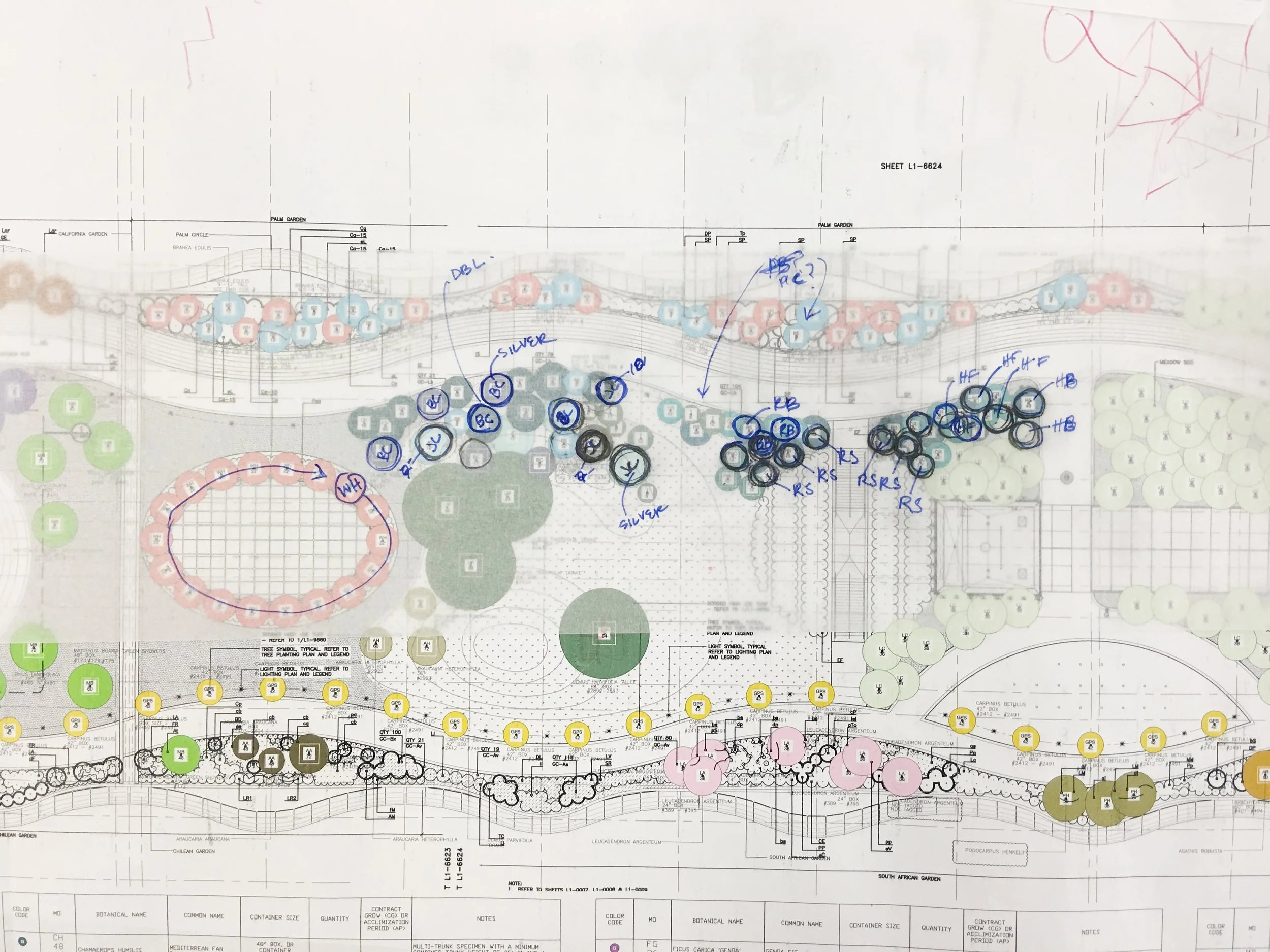 Transbay Transit Center Roof Garden — PWP Landscape Architecture