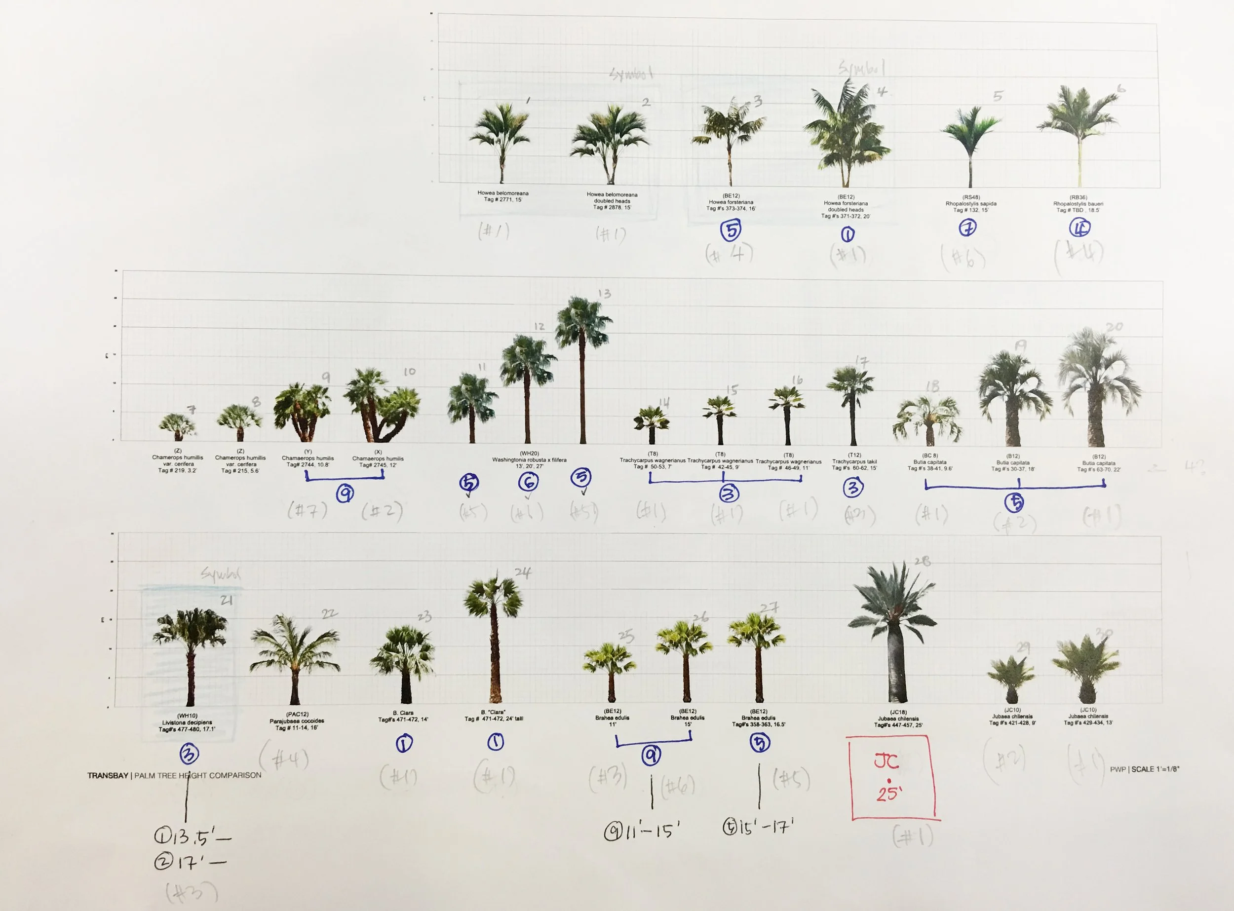 Transbay Transit Center Roof Garden — PWP Landscape Architecture